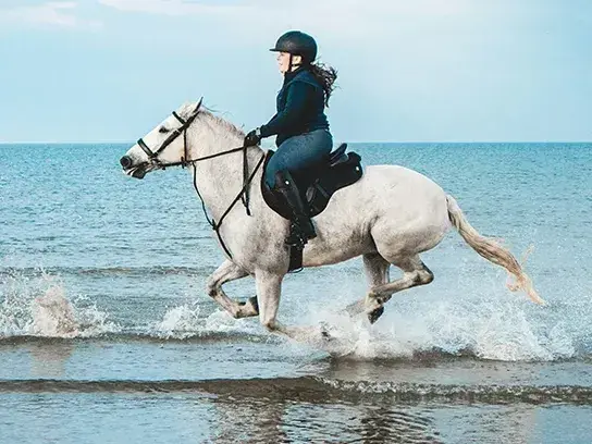 Ride into the sea