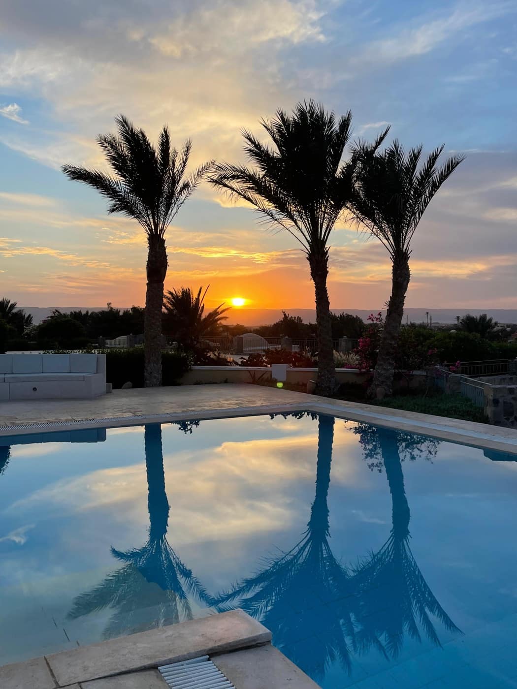Sunset palms mirrored in the pool