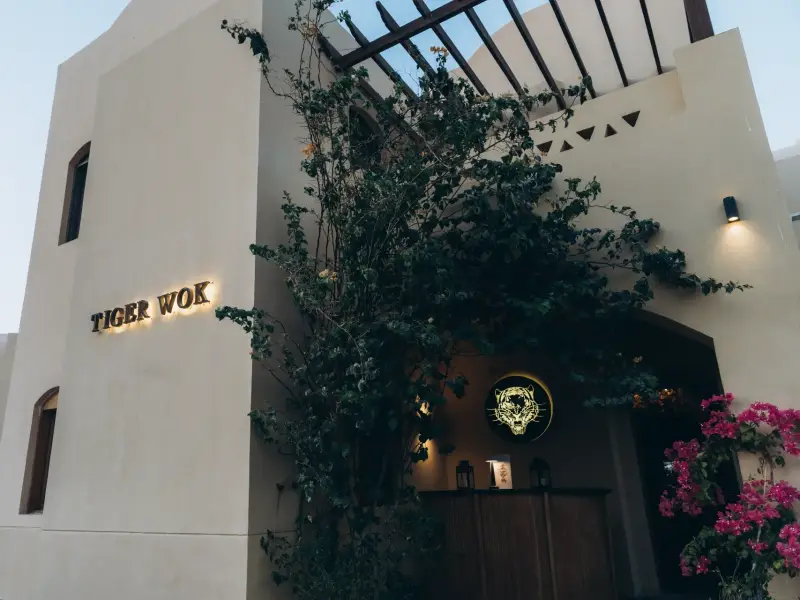 Tiger Wok — photo 1 of 8