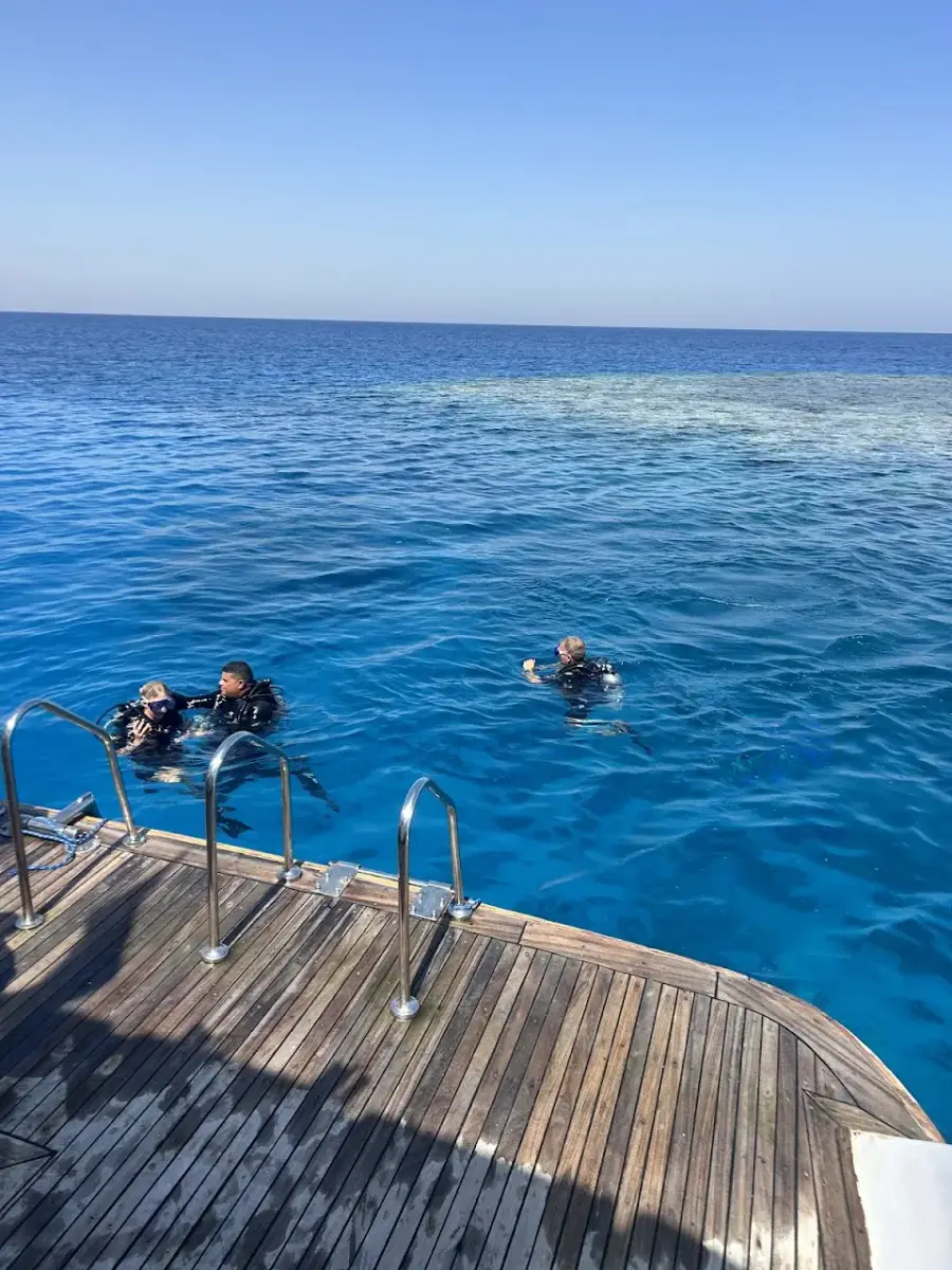 Dream Team Divers — photo 4 of 4