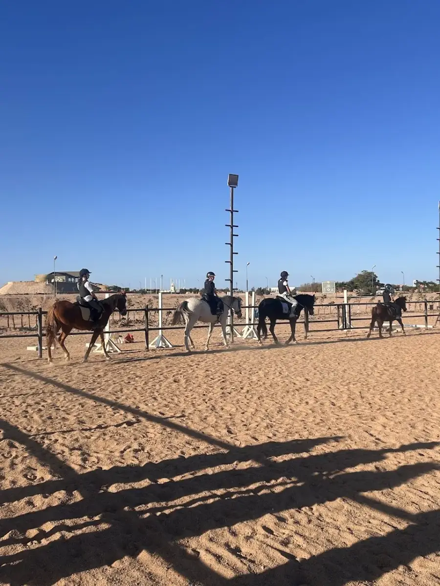 Farah Private Stable — photo 2 of 4
