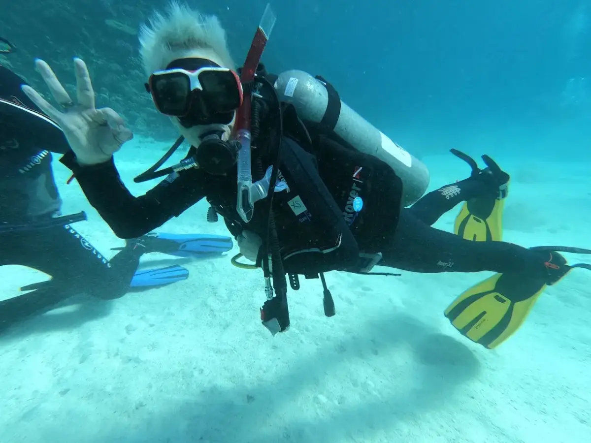 Orca Dive Club — photo 3 of 4